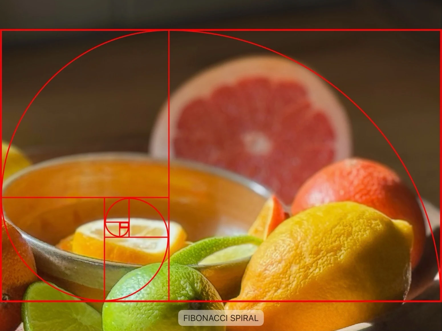 Curiosity in Artistic Composition