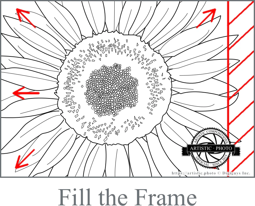 Fill the Frame artistic composition