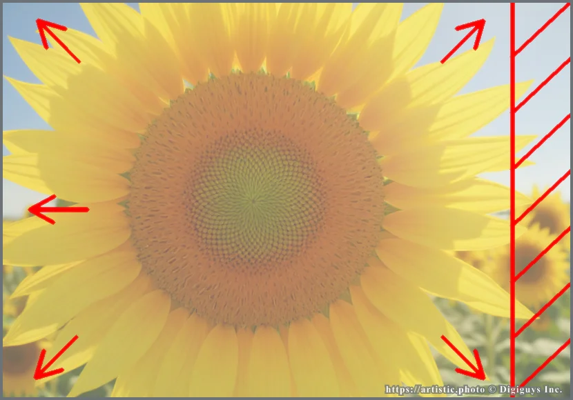 Fill the Frame composition thumbnail