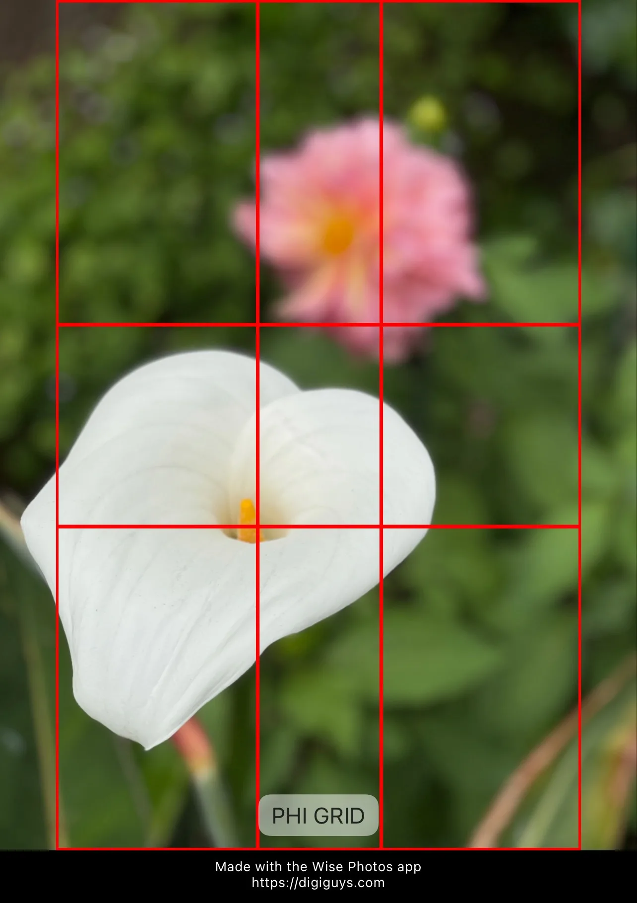 Phi Grid composition example 3