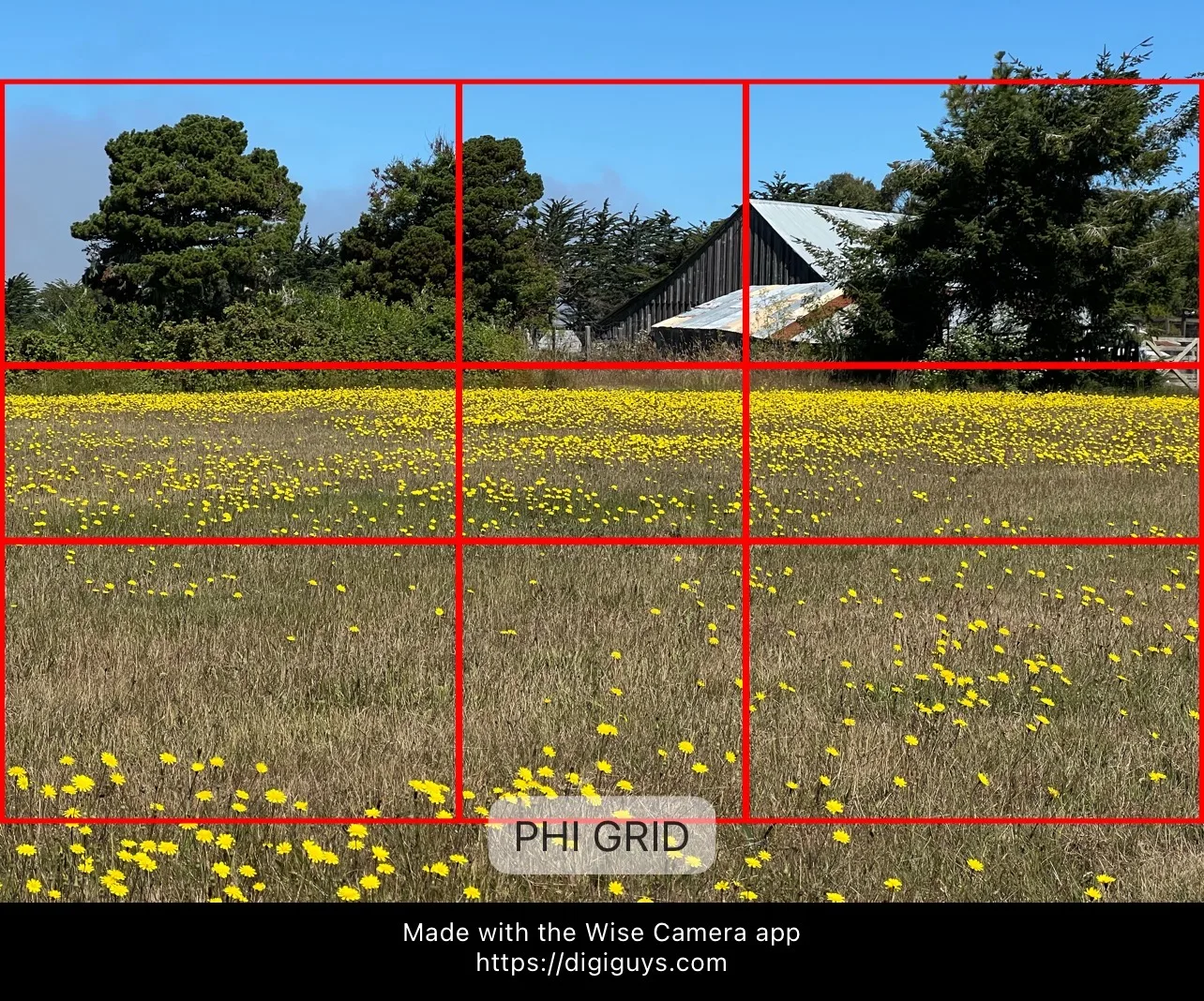 Phi Grid composition example 7