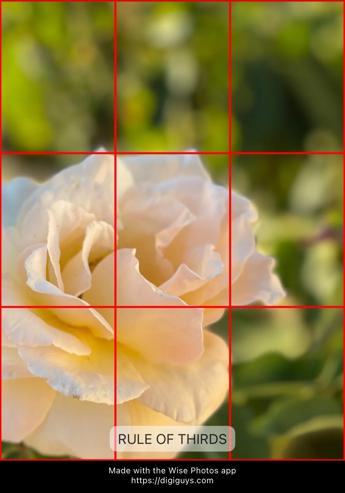 Rule of Thirds composition example 7